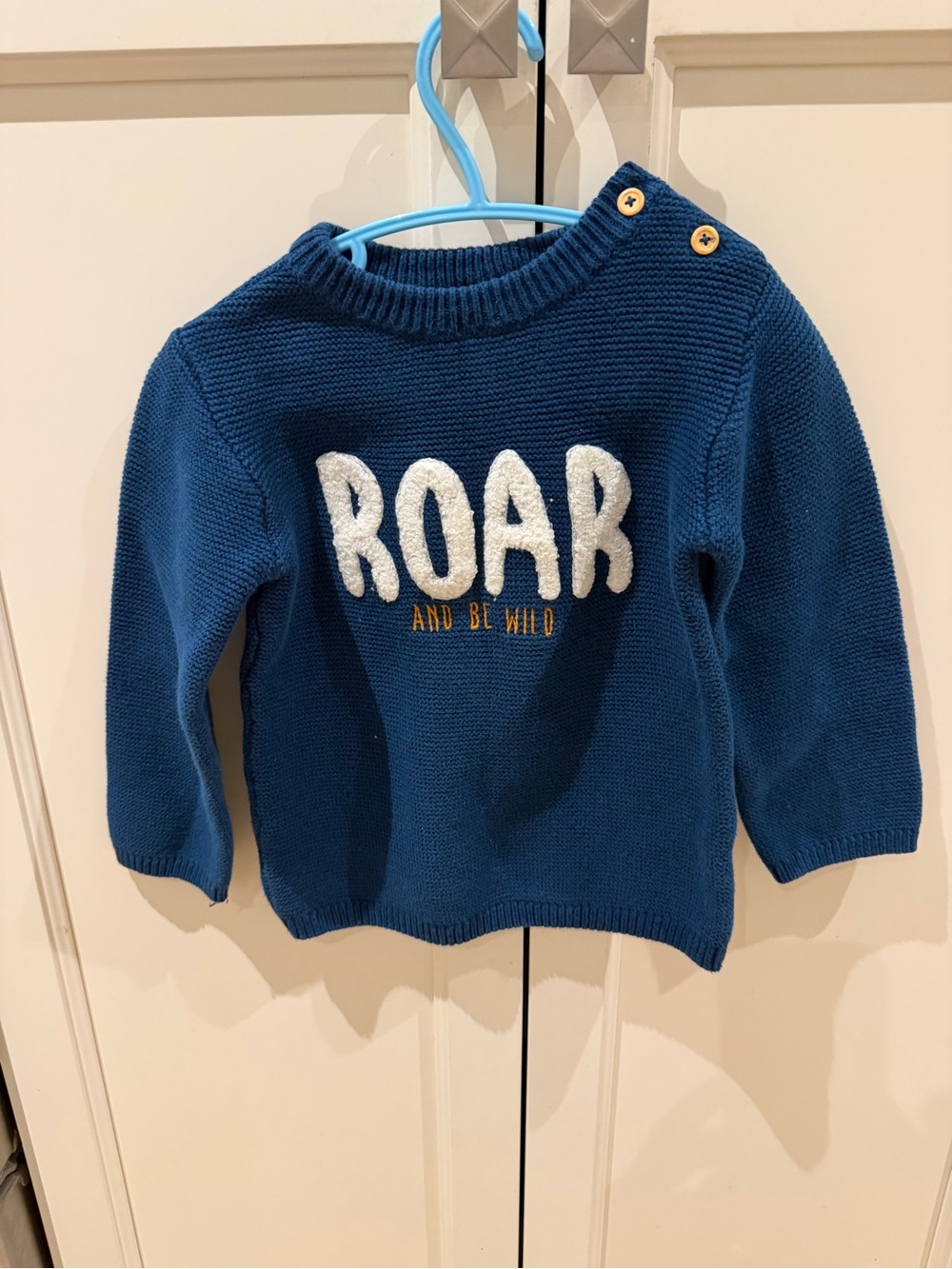 Tex 3t Kids Blue teal 'ROAR' Knit Sweater - Cozy Crewneck